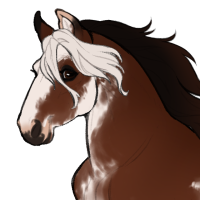 Thumbnail for ID-1564: Allspice