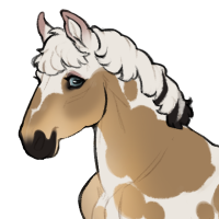 Thumbnail for ID-1567: Garlic