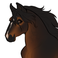 Thumbnail for ID-1582: KBU Summer Hum Of Junebug Buzzin'