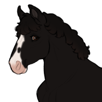 Thumbnail for ID-1586: Raven