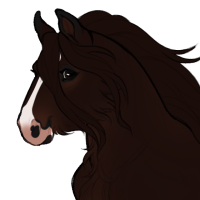 Thumbnail for ID-1613: Podzol