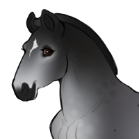 Thumbnail for ID-1620: Andesite