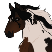 Thumbnail for ID-1629: Scallop