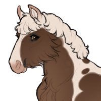 Thumbnail for ID-1646: Procyon