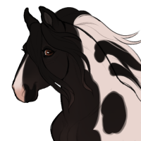 Thumbnail for ID-1670: Washcloth