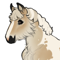 Thumbnail for ID-1678: BAS The last of my group of stars