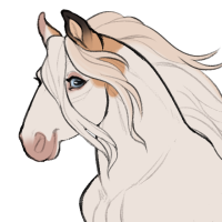 Thumbnail for ID-1688: Bookbook