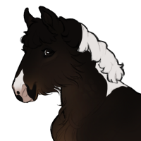 Thumbnail for ID-1695: Cassowary