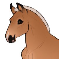 Thumbnail image for ID-1701: KM Sun soaked Lamborghini