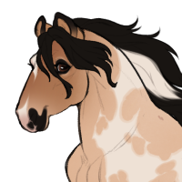 Thumbnail for ID-1722: Dill