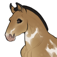 Thumbnail for ID-1750: Taurie