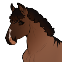 Thumbnail for ID-1777: Haifisch