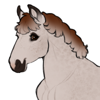 Thumbnail for ID-1800: Matzo Ball