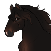 Thumbnail for ID-1809: Bromeliad