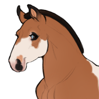 Thumbnail for ID-1812: Coelophysis