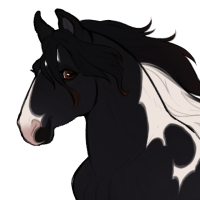 Thumbnail for ID-1816: Dimorphodon