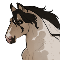 Thumbnail for ID-1817: Eustreptospondylus