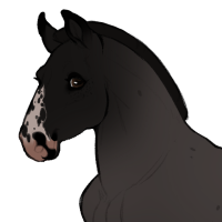 Thumbnail for ID-1852: Dusty Miller