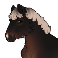 Thumbnail for ID-1858: BAS They call me a teddy bear with a shot gun