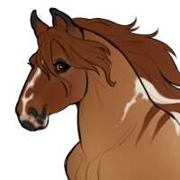 Thumbnail for ID-1865: Knee