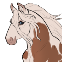 Thumbnail for ID-1867: PLS The Light You Seek