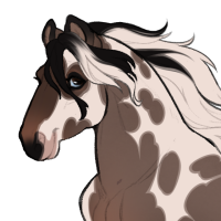 Thumbnail for ID-1877: Belly