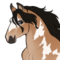 Thumbnail for ID-1935: SR ★ Once In A Lifetime ♡