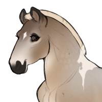 Thumbnail for ID-1942: Derby