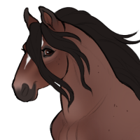 Thumbnail for ID-1952: Shoe Lace