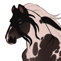 Thumbnail for ID-1977: ٠࣪⭑ tbn