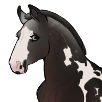 Thumbnail for ID-2079: Jejunum