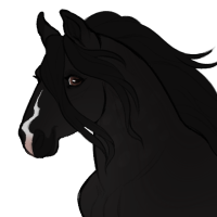 Thumbnail for ID-2085: Lost in the Woods