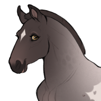 Thumbnail for ID-2107: Rottweiler