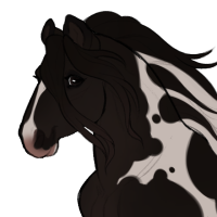 Thumbnail for ID-2117: $30-$40