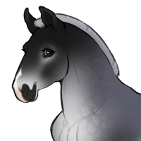 Thumbnail for ID-2134: Bluebell