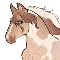 Thumbnail for ID-2137: PLS ✦ Dried Apricots