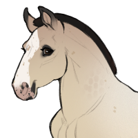 Thumbnail for ID-2191: BP Protector of the Realm