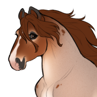 Thumbnail for ID-2206: Third Time's The Charm