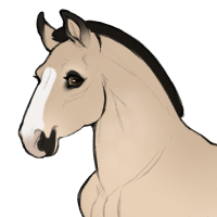 Thumbnail for ID-2233: Little Miss Izzy