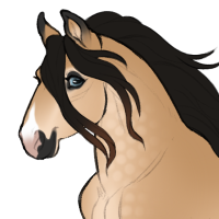 Thumbnail for ID-2244: First Aid Spray