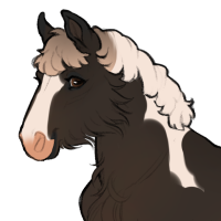 Thumbnail for ID-2246: Brown Kiwi