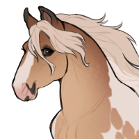 Thumbnail for ID-2265: Barn Owl