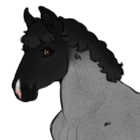 Thumbnail for ID-2270: Ostrich