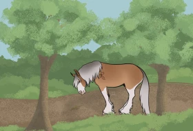 Submission thumbnail