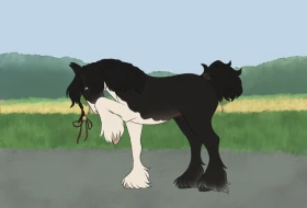 Submission thumbnail