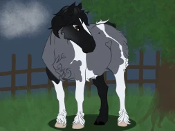 Submission thumbnail