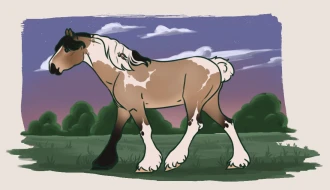 Submission thumbnail