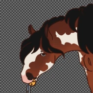 Submission thumbnail