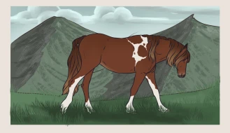 Submission thumbnail