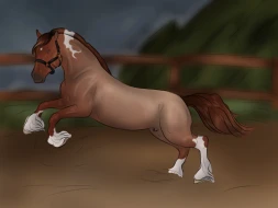 Submission thumbnail